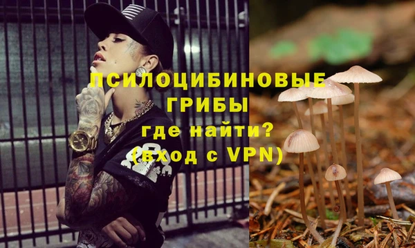 мяу мяу мука Киренск