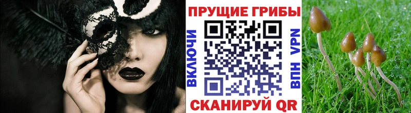 Галлюциногенные грибы ЛСД Динская