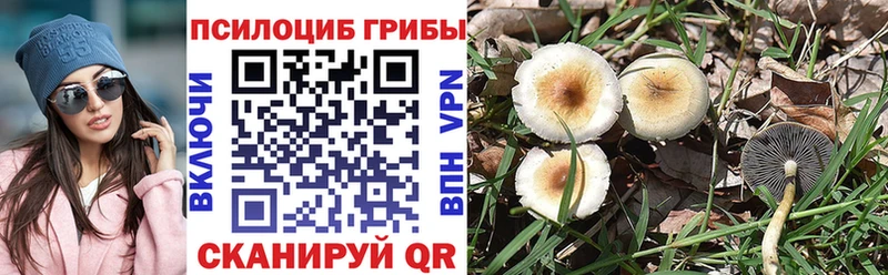 hydra вход  Динская  Псилоцибиновые грибы мухоморы 